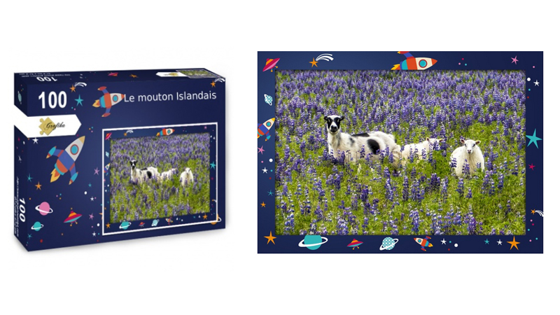 Les moutons islandais, puzzle 100 pièces, par Jean-Yves Petit