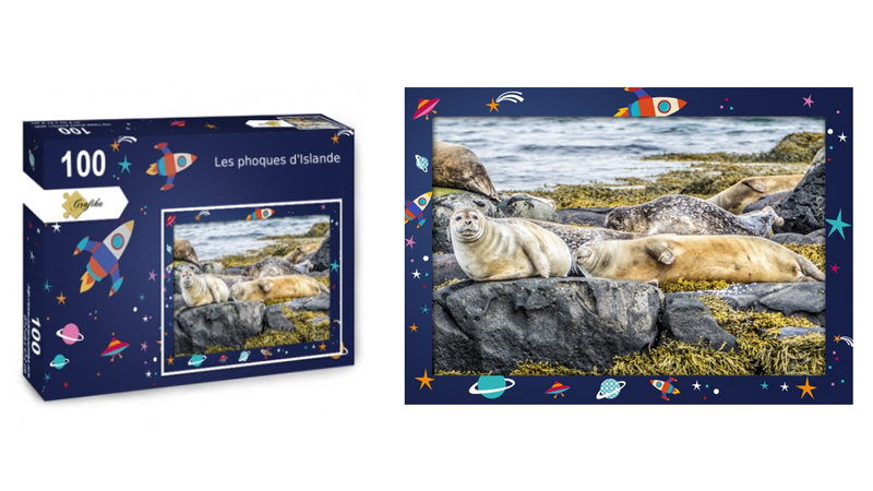 Les phoques d'Islande, puzzle 100 pièces, par Jean-Yves Petit